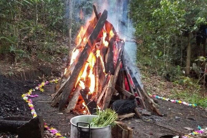 Therapeutic Temazcal: Harmony and Rebirth in the Forest - The 8-hour rhythm, from brunch to the final circle of words