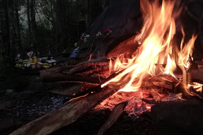 Therapeutic Temazcal: Harmony and Rebirth in the Forest - Forest cleansing, medicinal plants, and optional respiratory rinsing