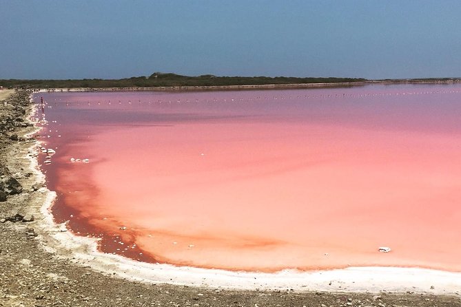 Totumo Volcano - Price and Value Check: What $50 Really Covers