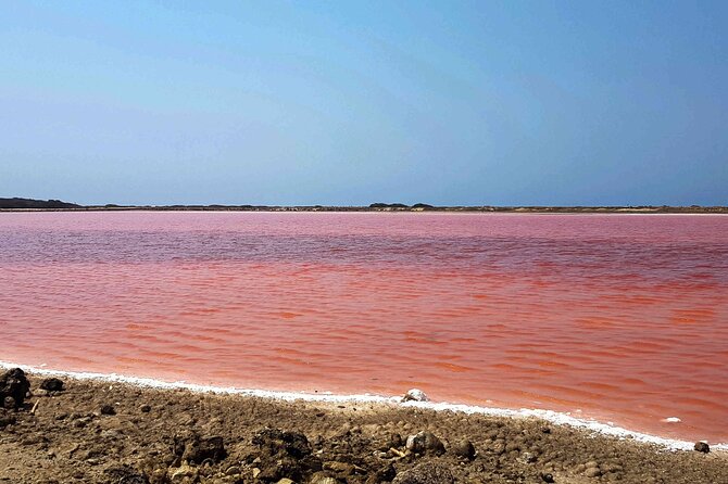 Totumo Volcano and Mar Rosa Tour in Cartagena with Lunch - Galerazamba and the Pink Sea: the color is not guaranteed
