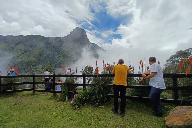 Tour Cocora Valley hummingbird circuit - The Salento start: quick jeep ride, then you’re in the trees