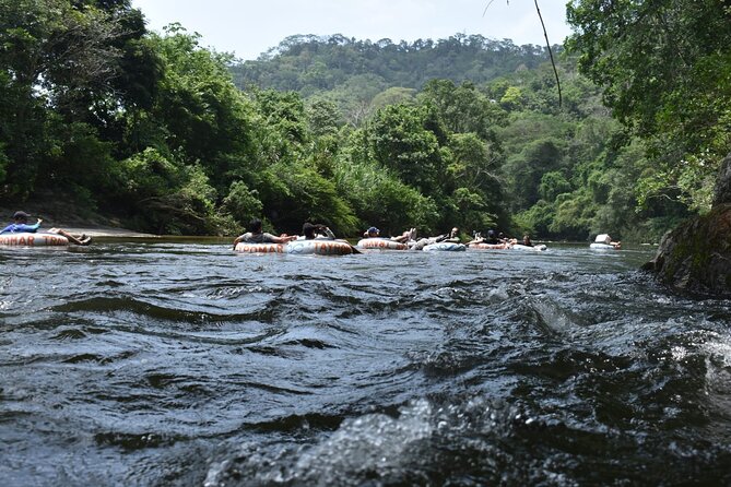 Tour Don Diego and Tayronaka - When You Reach the River Mouth: Caribbean Swim Time