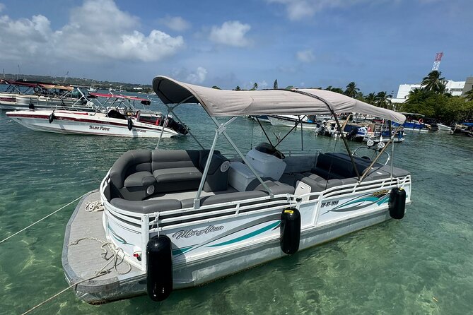 Tour in Pontoon to the Aquarium Bahia Palito, Mangroves, Rocky Cay - Key highlights at a glance