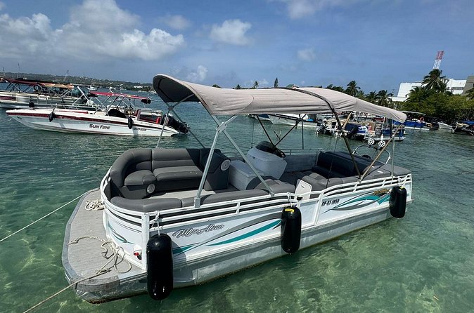 Tour in Pontoon to the Aquarium Bahia Palito, Mangroves, Rocky Cay - Manglares de Old Point National Park: your “lung of the island” walk