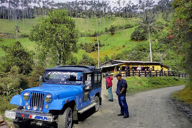 Tour La Carbonera. A large forest of Palmas de Cera - Walking among Palmas de Cera, what the hike really means