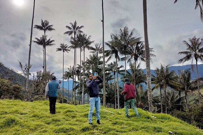 Tour La Carbonera. A large forest of Palmas de Cera - Lunch, Salento start, and how to set up your day