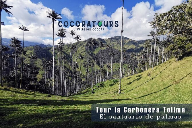 Tour La Carbonera. A large forest of Palmas de Cera - Language, group size, and the kind of guide support you get