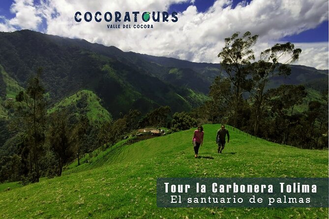 Tour La Carbonera. A large forest of Palmas de Cera - Price check: is $130 worth it for a 6.5 hour wax palm tour?