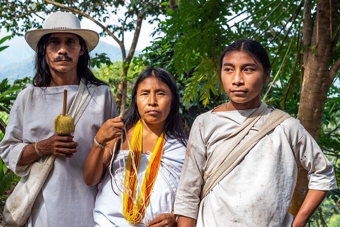 Tour of indigenous trails, coffee, cocoa, waterfalls - Minca - Key highlights to know before you go