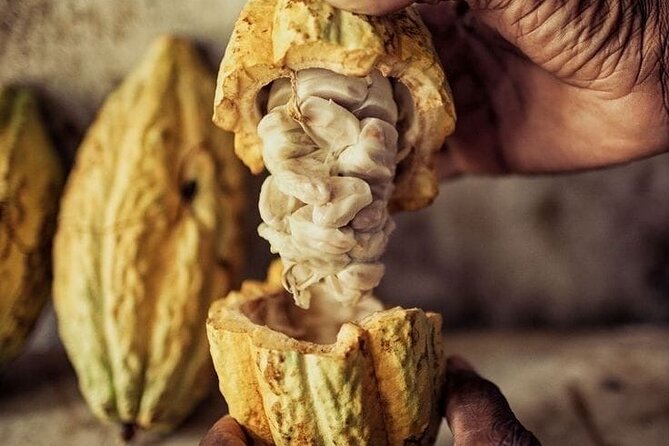 Tour of indigenous trails, coffee, cocoa, waterfalls - Minca - Who this tour is best for