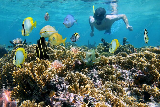 Tour of the Rosary Islands - Isla Grande: Pablo Escobar’s plane and coral reef snorkeling