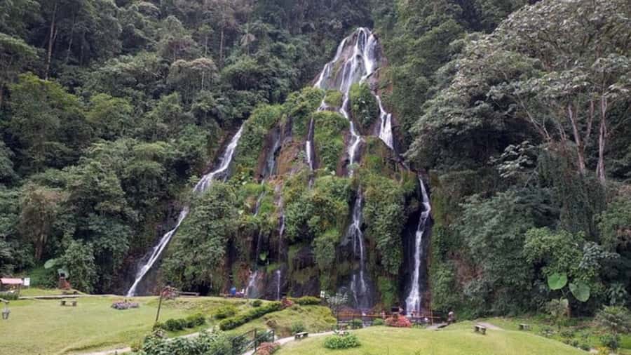 Tour Santa Rosa hot springs from Pereira, Armenia or Salento - TERMAL passport entry: what you actually get when you arrive
