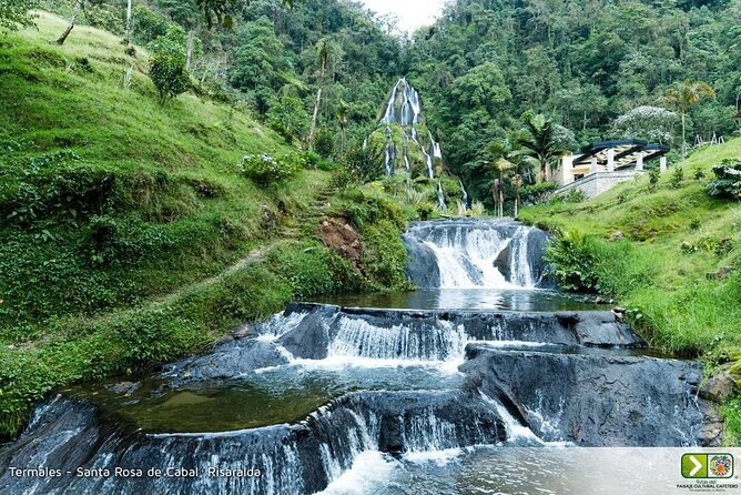 Tour to Santa Rosa de Cabal Coffee Farm and Hot Springs - Key Highlights Before You Go