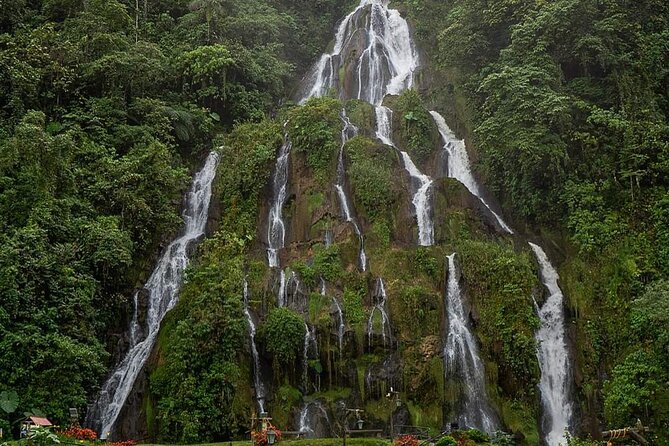 Tour to Santa Rosa de Cabal Coffee Farm and Hot Springs - Coffee Tasting That Helps You Taste the Differences