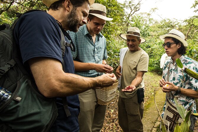Traditional Coffee Farm Experience at Hacienda Coloma from Bogotá - The morning drive to Fusagasugá, and why altitude changes everything