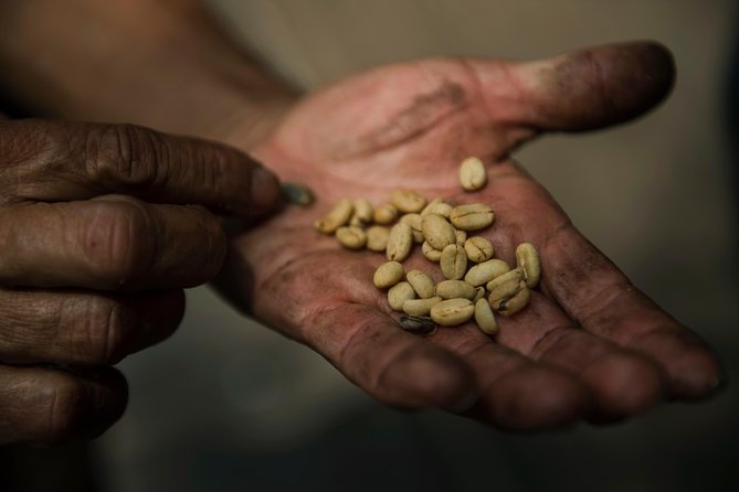 Traditional Coffee Farm Experience at Hacienda Coloma from Bogotá - Lunch in the Fusagasugá market area: what to eat after the farm walk