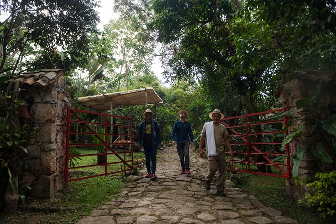 Traditional Coffee Farm Experience at Hacienda Coloma from Bogotá - Transportation and timing: getting a smooth day out of it