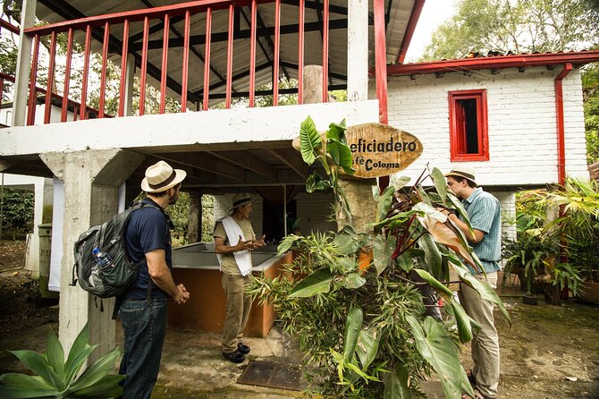 Traditional Coffee Farm Experience at Hacienda Coloma from Bogotá - Orchid gardens and the coffee crop: what the plantation visit feels like