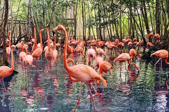 Transportation to the National AVIARY of Colombia - Key Points Before You Go