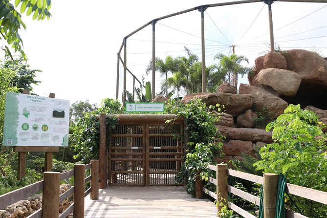 Transportation to the National AVIARY of Colombia - How the Cartagena, Barú, Aviary, and Playa Blanca Schedule Feels