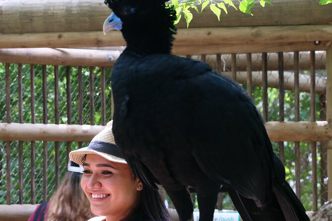 Transportation to the National AVIARY of Colombia - Stop 1: What You Learn From the Barú Area, Including Ararca and Santana