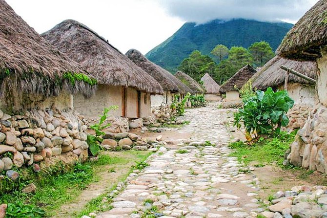 Trek to Ciudad Perdida: 5 Days from Santa Marta - Day 3: 1,200 Stone Steps to Ciudad Perdida and Two Hours in the Ruins
