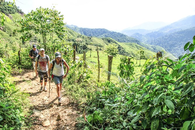 Trek to Ciudad Perdida: 5 Days from Santa Marta - Day 1: El Mamey, First Camp, and a 7 km Trail Starter