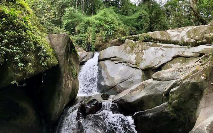 Trekking History and Indigenous Heritage in Minca + Cacao & Coffee + Waterfall - Cabanas Bosque Cacao: The Farm Stop That Turns Product Into Meaning