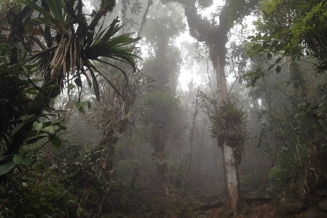 Trekking to Pico de Loro - Pico de Loro from Cali, the part that feels worth the effort