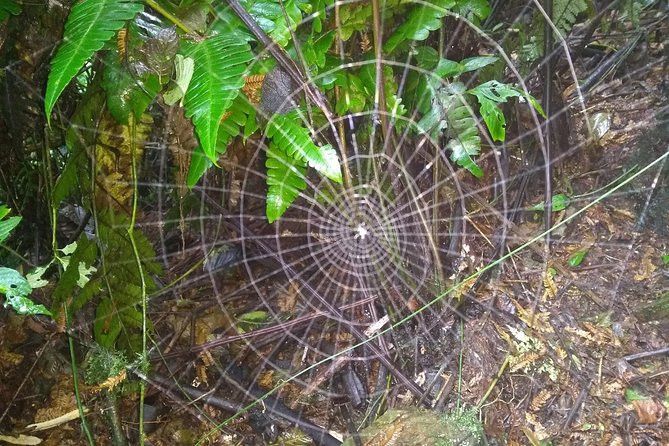 Trekking to Pico de Loro - Stop 1: Fundacion Pico Pance and the parrot’s beak climb