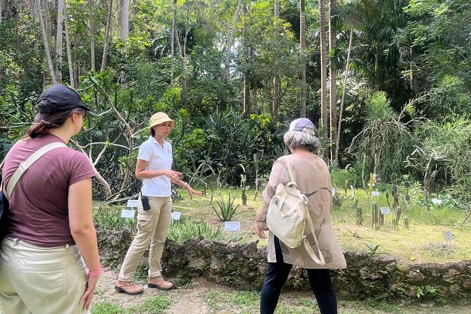 Turkish : Botanical Garden, Natural and Cultural Treasure with Lunch - Stop 3: Jardin Botanico de Cartagena Guillermo Pineres for real nature time