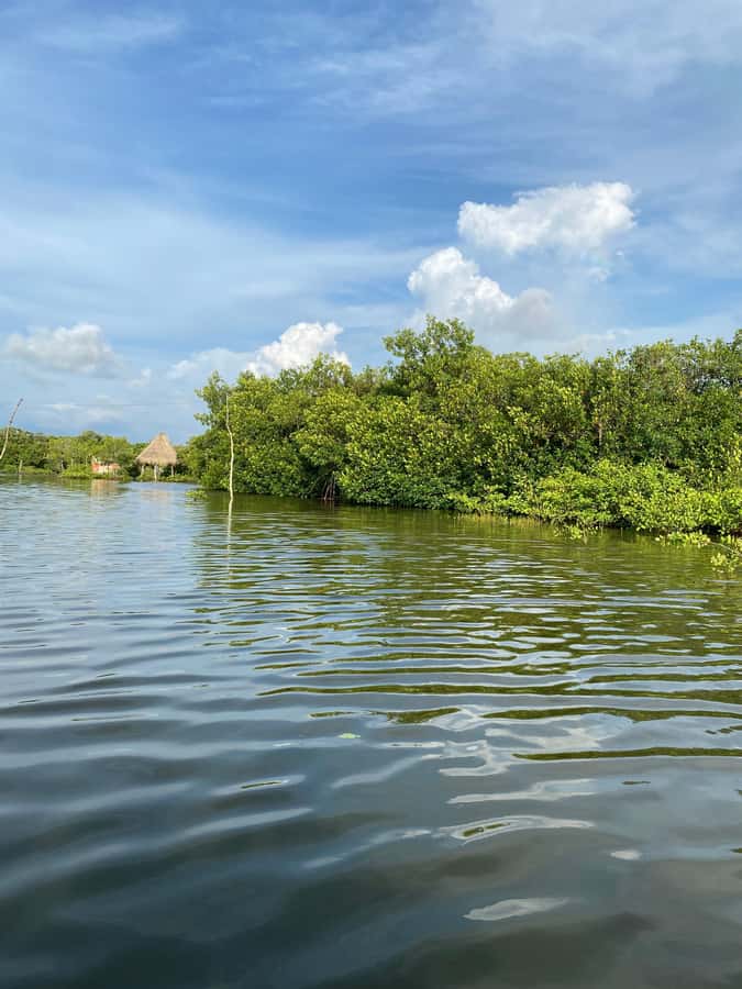 Typical lunch on beach, mangrove tour & fishing with natives - FAQ