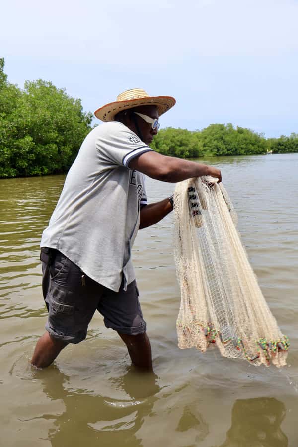 Typical lunch on beach, mangrove tour & fishing with natives - Lunch at 12:30 with a view: what’s on your plate
