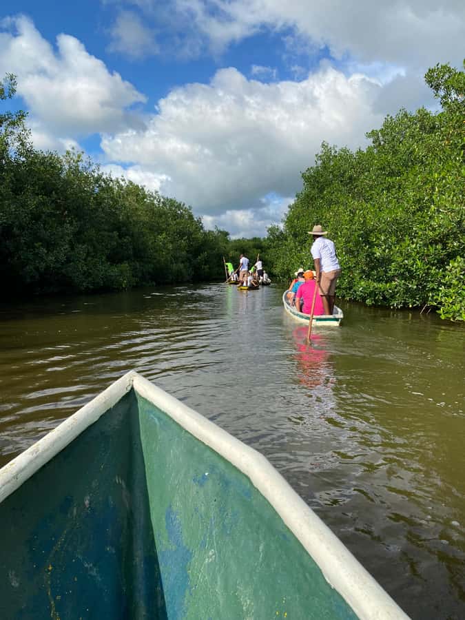Typical lunch on beach, mangrove tour & fishing with natives - Fisherman Island stop: the point where nature becomes culture