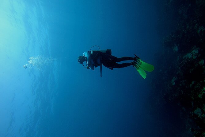 Under a sea of adventures, unforgettable diving. - Key things that make this Cartagena scuba outing worth your time