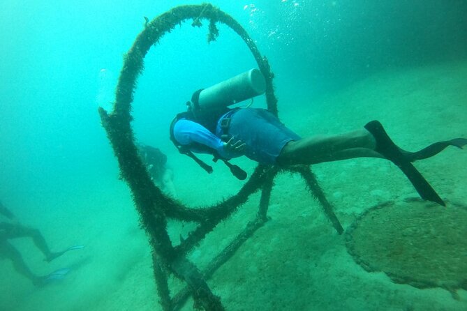 Under a sea of adventures, unforgettable diving. - Cartagena reef time, the way a good half-day should feel