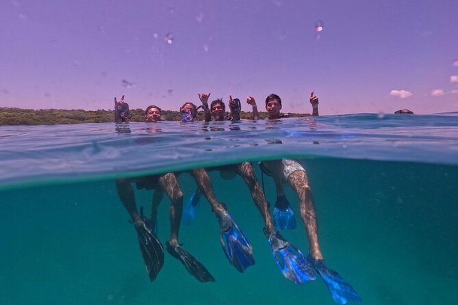 Under a sea of adventures, unforgettable diving. - Meeting point near the water: Muelle de la Bodeguita at 9:00 am