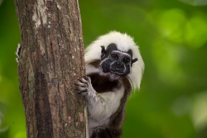 UTV Safari in a Wildlife-Filled Nature Reserve Near Cartagena - Key highlights to know before you go