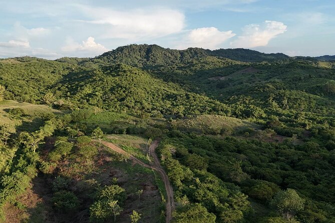 UTV Safari in a Wildlife-Filled Nature Reserve Near Cartagena - Breakfast by the lake, then expert rehab talks