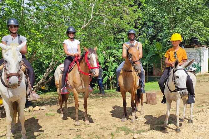 UTV Thrills & Horseback Ride at Wildlife Paradise Near Cartagena - Horseback Through Reserve Trails and Toward Release Viewpoints