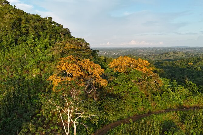 UTV Thrills & Horseback Ride at Wildlife Paradise Near Cartagena - Agriculture Stops, Farmers, and the Connection to Reforestation