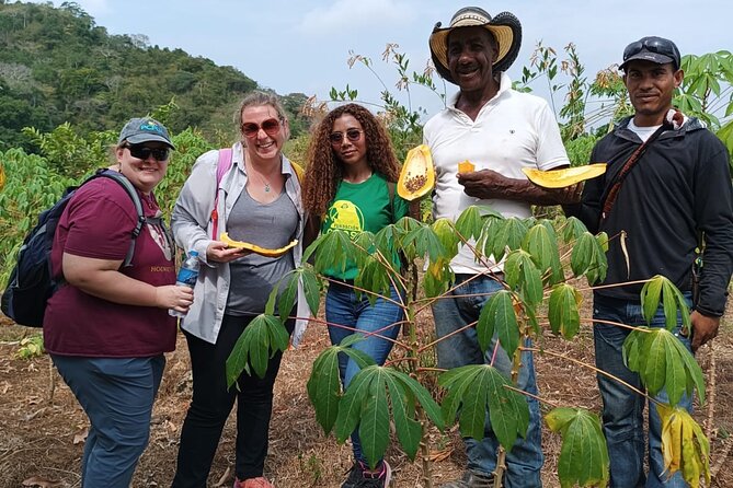 UTV Thrills & Horseback Ride at Wildlife Paradise Near Cartagena - UTV Thrills on the Estate, Wildlife Chances Included