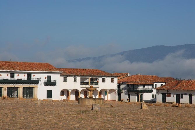 Villa de Leyva Full Day Private Tour (12 Hrs.) - Museo El Fosil: dinosaurs, geology, and precise displays
