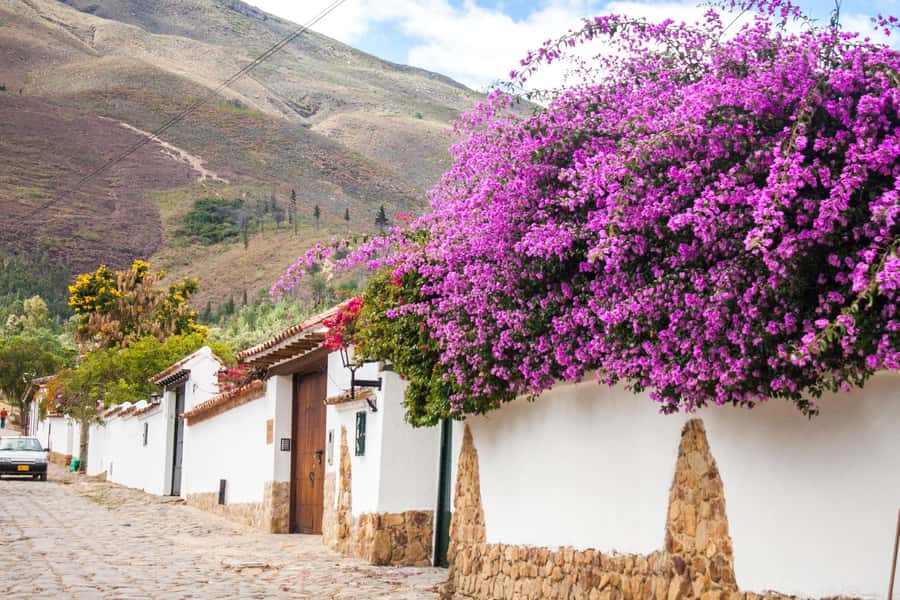 Villa de Leyva Trip by Private Transportation - Comfort and control: what the private transport is really buying you