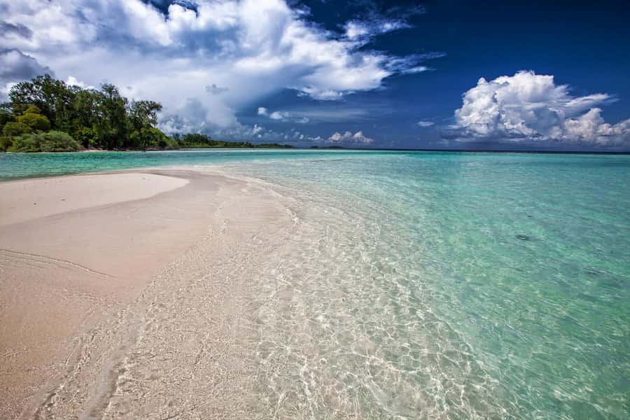VIP 5 islands w.lunch,rum,vodka, beer, snorkeling, plankton - Key highlights to know before you go