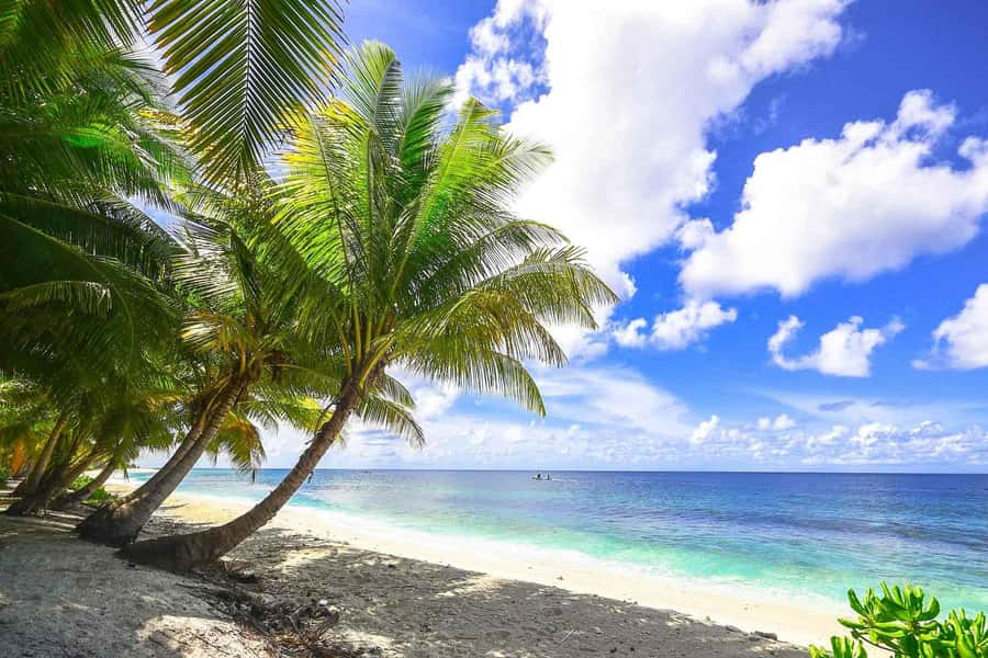 VIP 5 islands w.lunch,rum,vodka, beer, snorkeling, plankton - Food, drinks, and what the all-inclusive part really covers