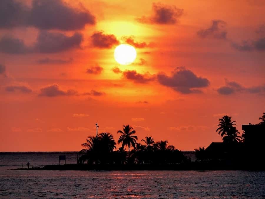 VIP 5 islands w.lunch,rum,vodka, beer, snorkeling, plankton - 7:30 am pickup and the Pegasus Pier start: your day at sea begins fast