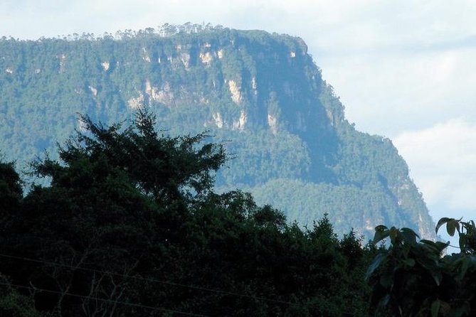 Visit to Chicaque Natural Park Private Tour from Bogotá. (8 Hrs.) - Key takeaways