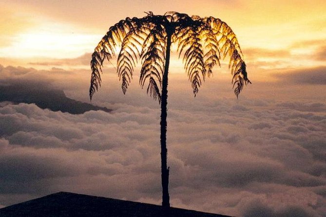Visit to Chicaque Natural Park Private Tour from Bogotá. (8 Hrs.) - A nature reset, about 50 minutes from Bogotá