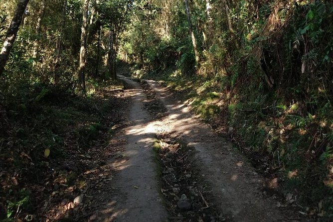 Visit to Chicaque Natural Park Private Tour from Bogotá. (8 Hrs.) - Lunch at the park, and how it fits the rhythm
